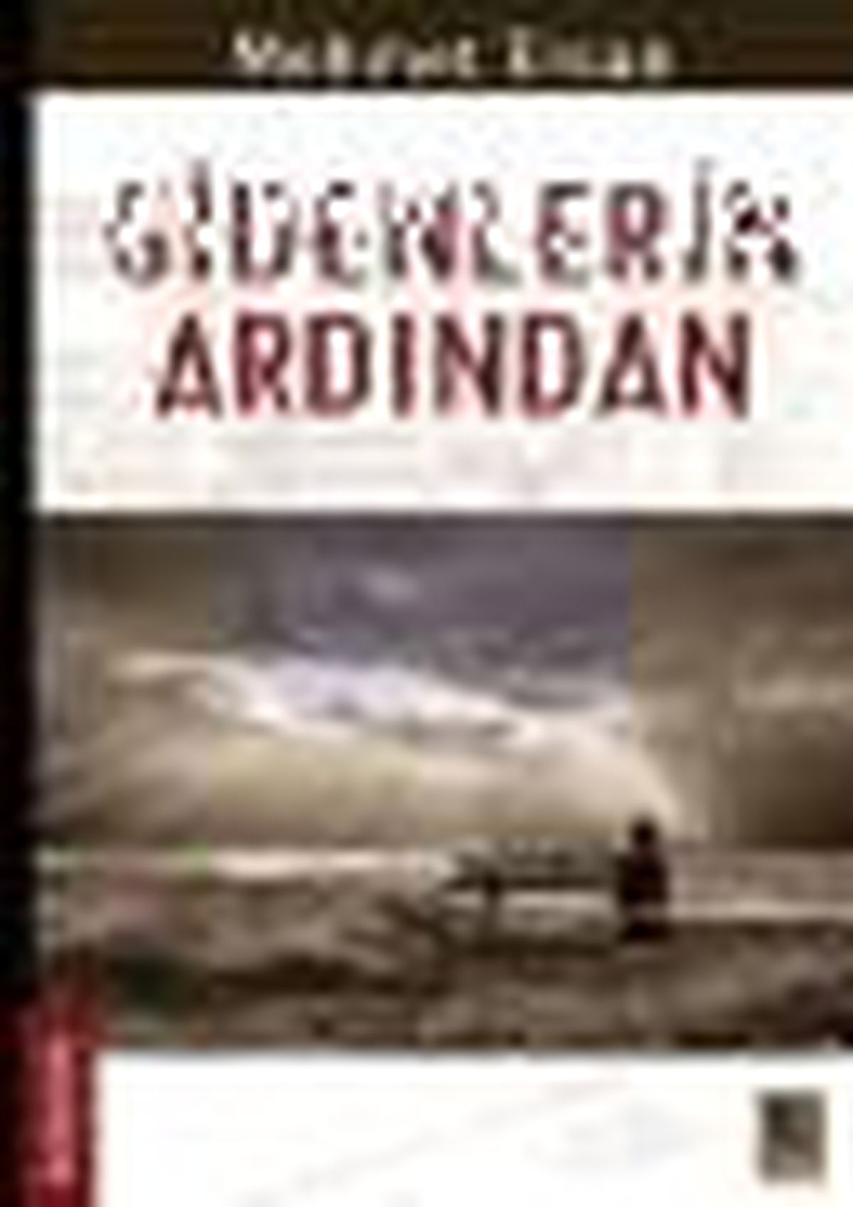 Gidenlerin Ardından Kitabı Çıktı