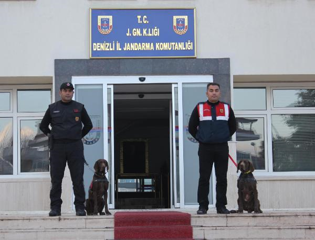 Jandarmanın Gözbebeği Özel Eğitimli Köpekler \'Vaşak\' ile \'Ahir\'