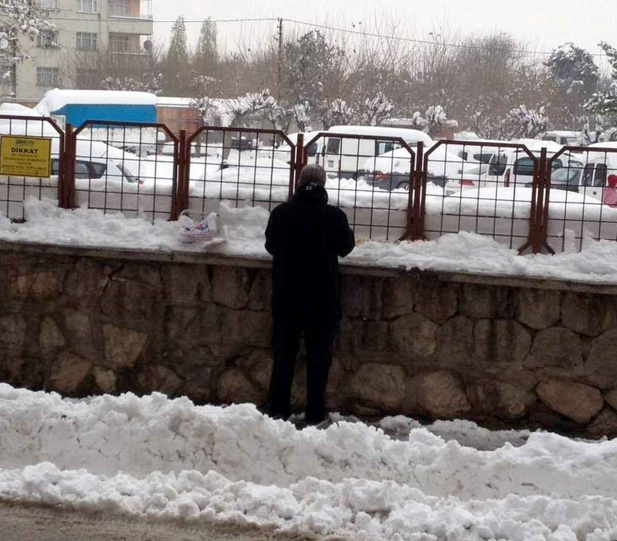 Kedilerin İmdat\'ına Vatandaşlar Yetişti