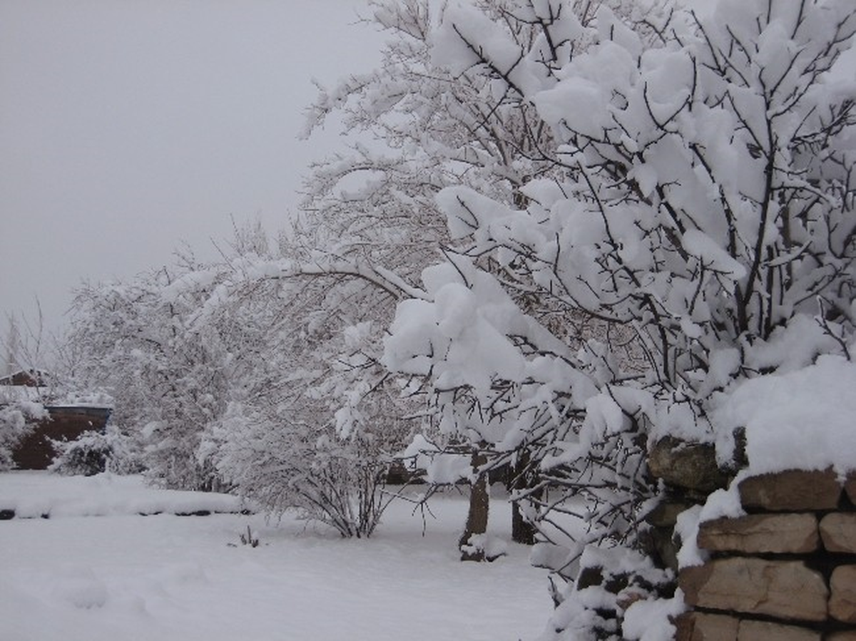 Lice'de Kartpostallık Kar Manzaraları