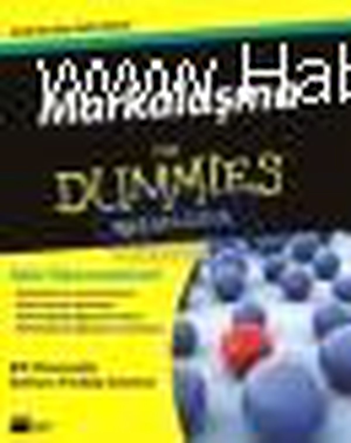 Markalaşma For Dummies Kitabı