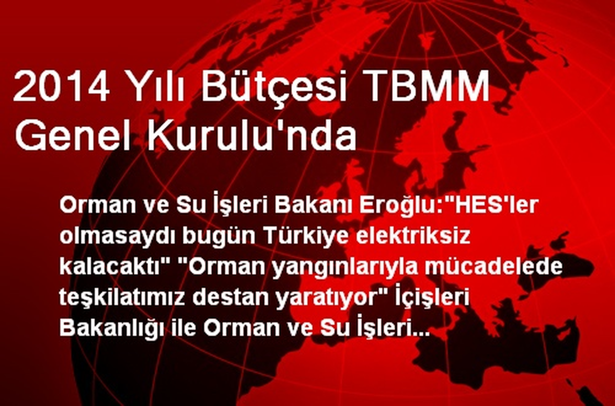 2014 Yılı Bütçesi TBMM Genel Kurulu\'nda