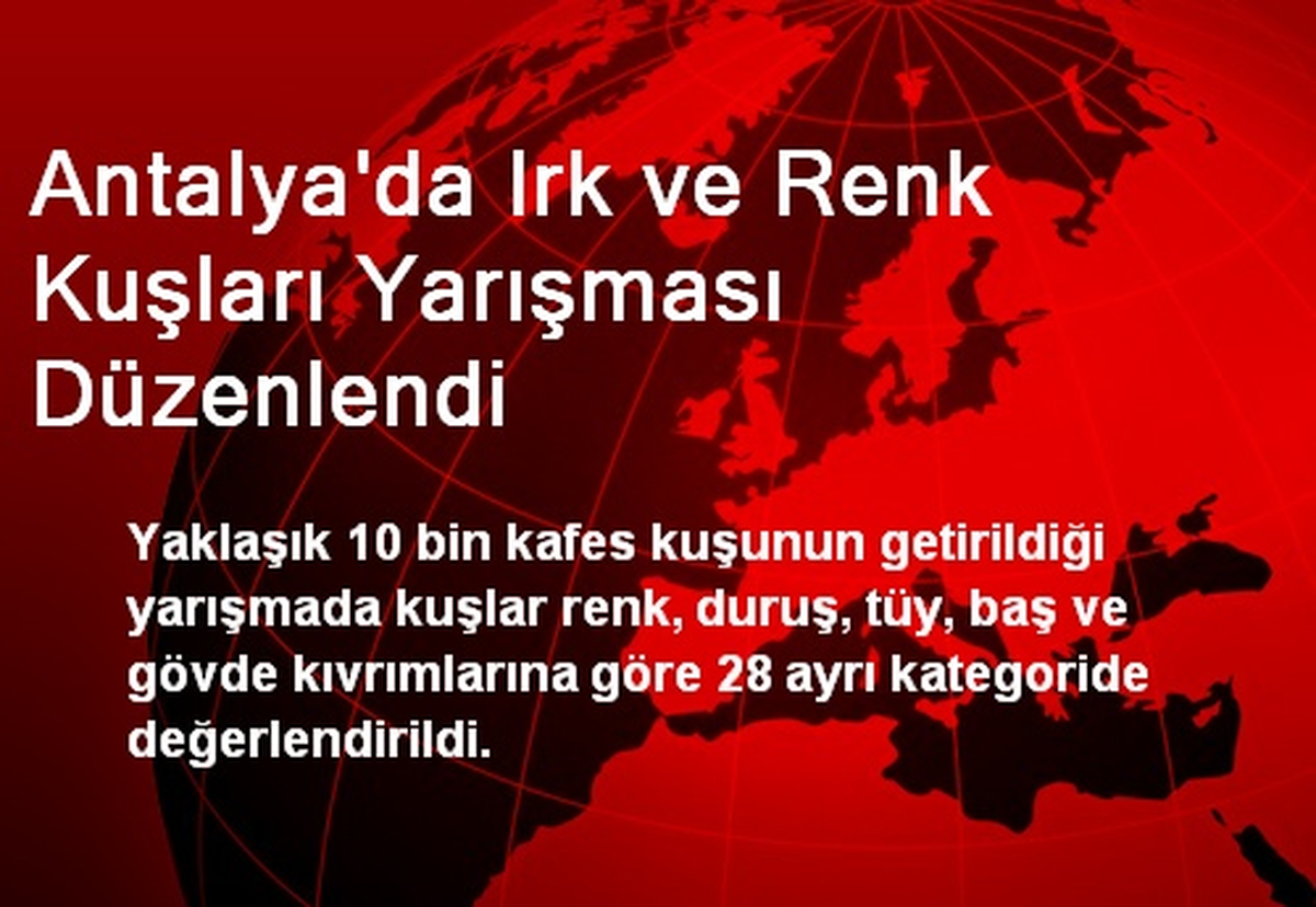 Antalya\'da Irk ve Renk Kuşları Yarışması Düzenlendi