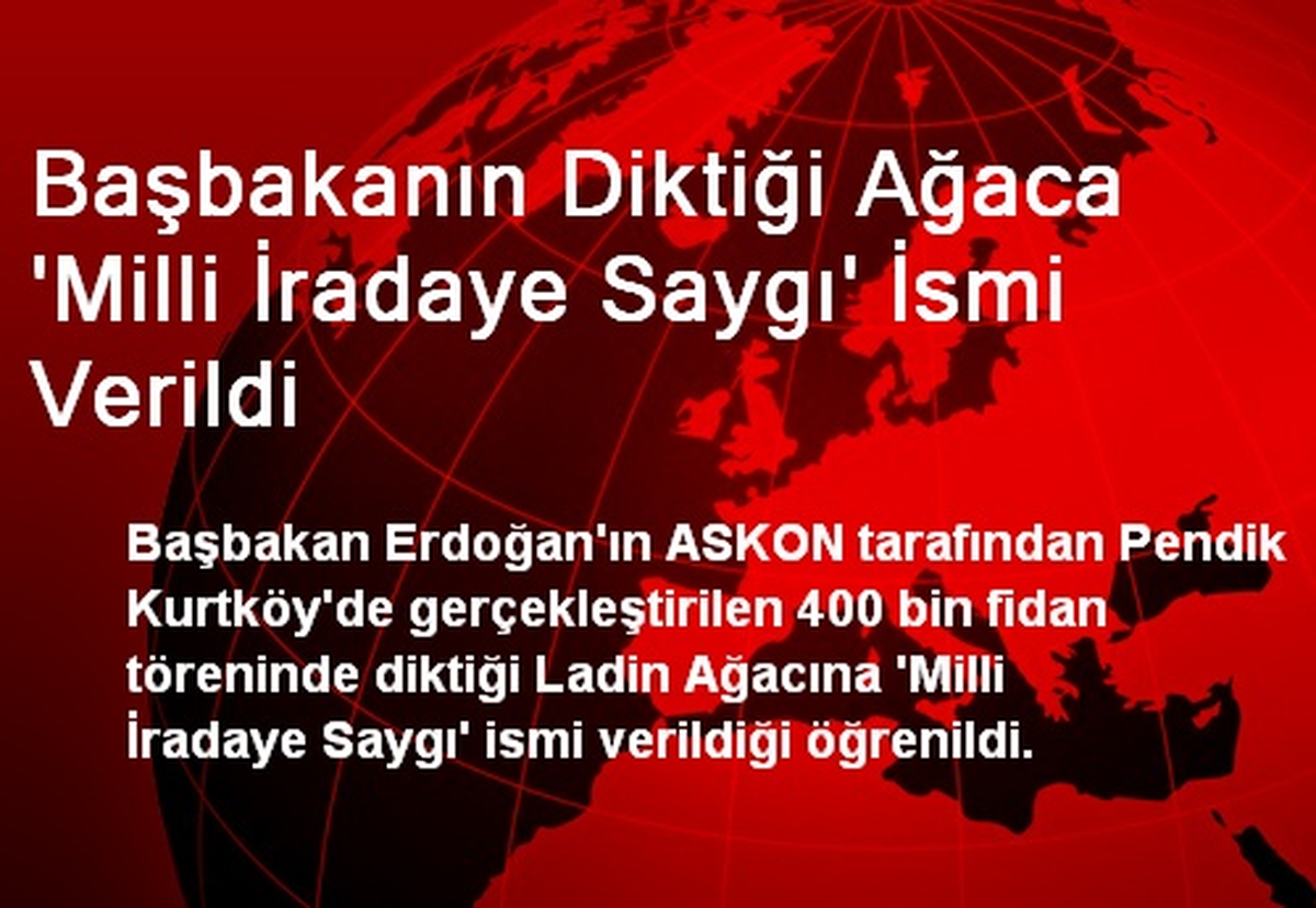 Başbakan\'ın Diktiği Ağaca \'Milli İradaye Saygı\' İsmi Verildi