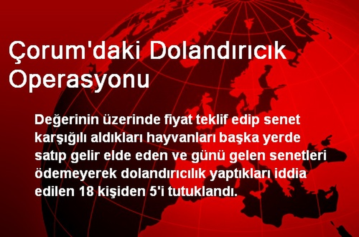 Çorum\'daki Dolandırıcık Operasyonu