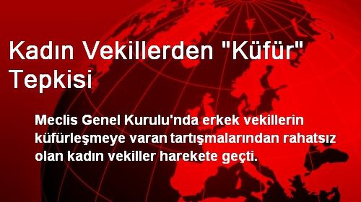 Kadın Vekiller Meclisteki Küfürlü Konuşmalara Tepkili