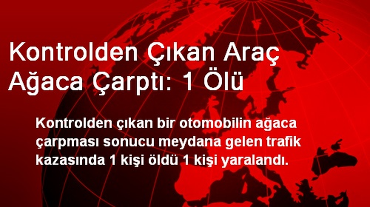 Kontrolden Çıkan Araç Ağaca Çarptı: 1 Ölü