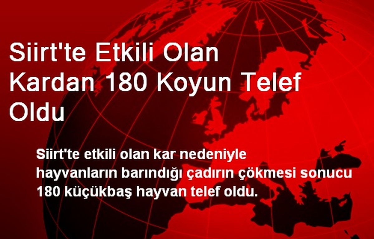 Siirt\'te Etkili Olan Kardan 180 Koyun Telef Oldu