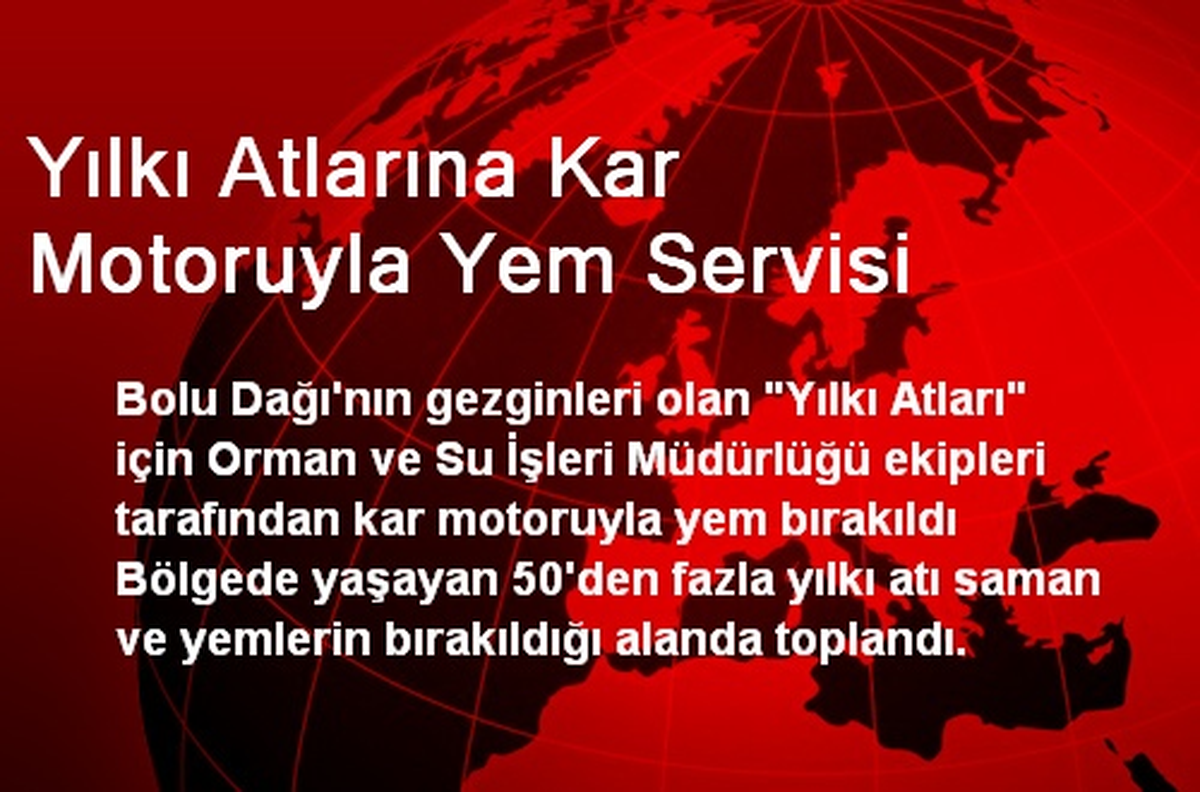 Yılkı Atlarına Kar Motoruyla Yem Servisi