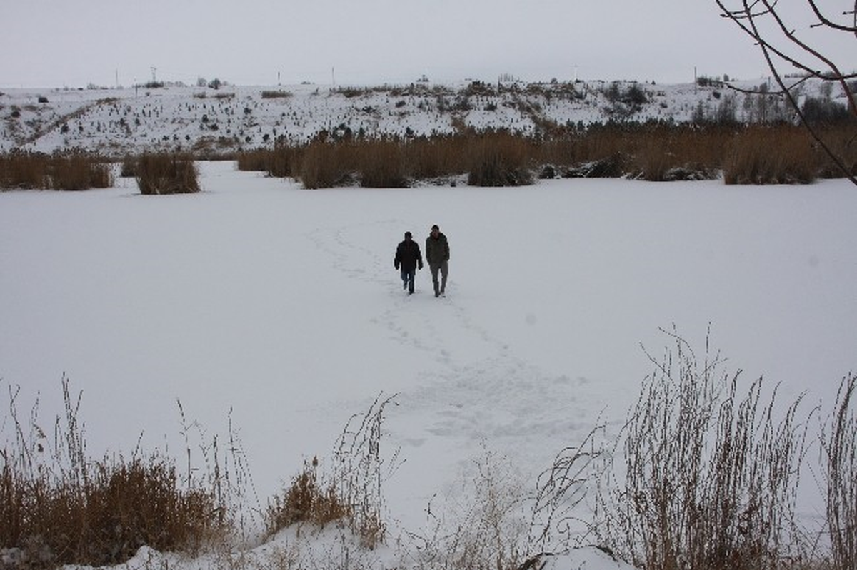 (Özel Haber) Ahlat\'ta Kuş Cennetini Dondurdu