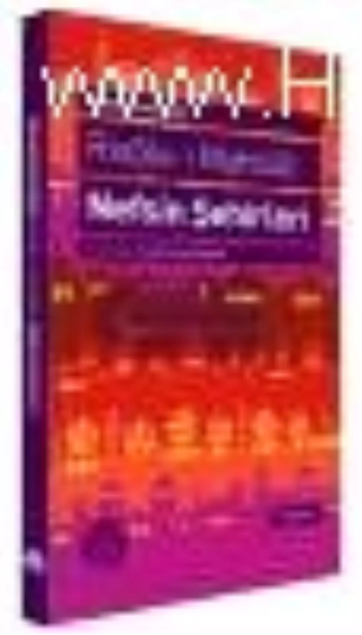 Risale-i Mahbüb: Nefsin Şehirleri Kitabı Çıktı