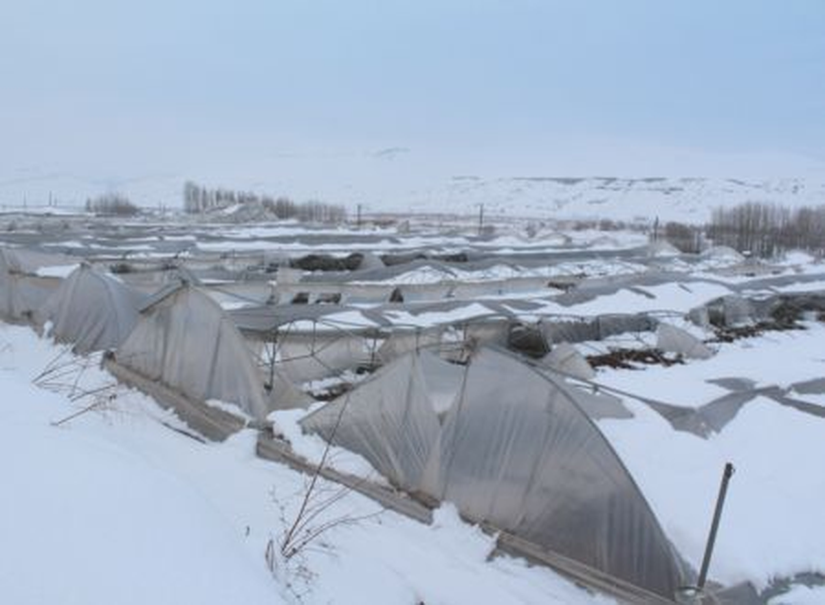 Siirt\'te 10 Dönümlük Sera Çöktü
