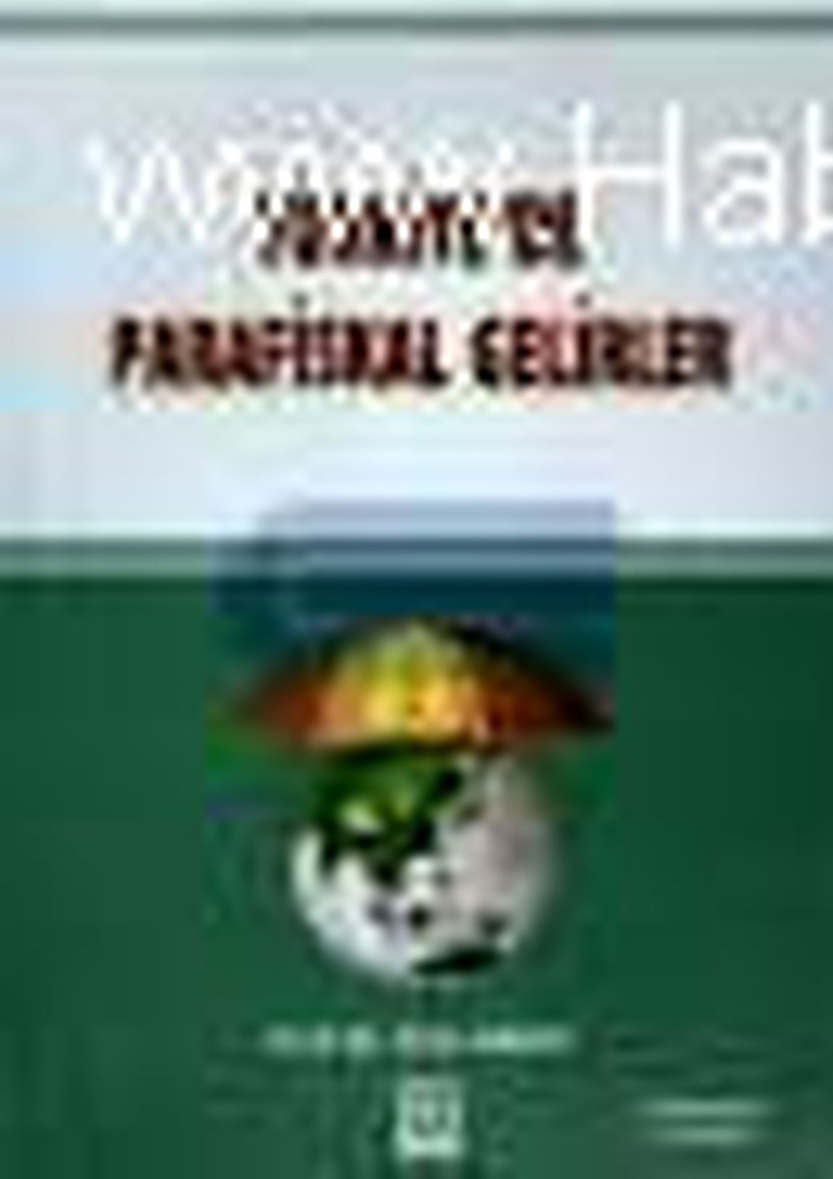 Türkiye\'de Parafiskal Gelirler Kitabı Çıktı