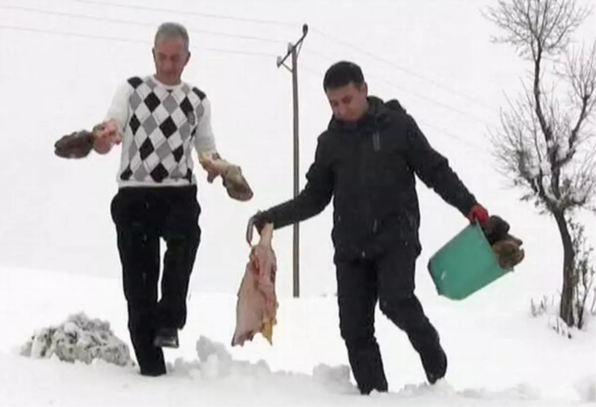 Siirt'te Yabani Hayvanlar İçin Doğaya Yem Bırakıldı