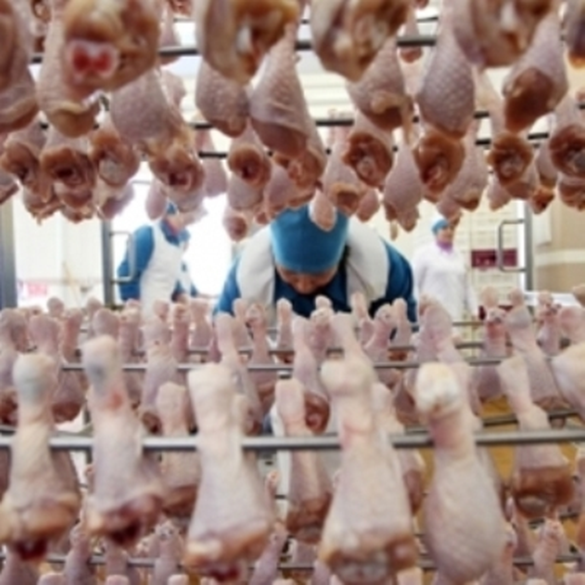 "Kanatlı" İhracatı, 1 Milyar Dolara Yaklaştı