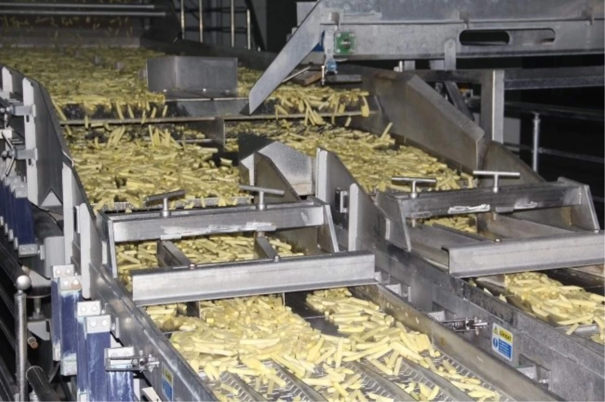 Konya Şeker Patates Nişastası Üretimine Başladı