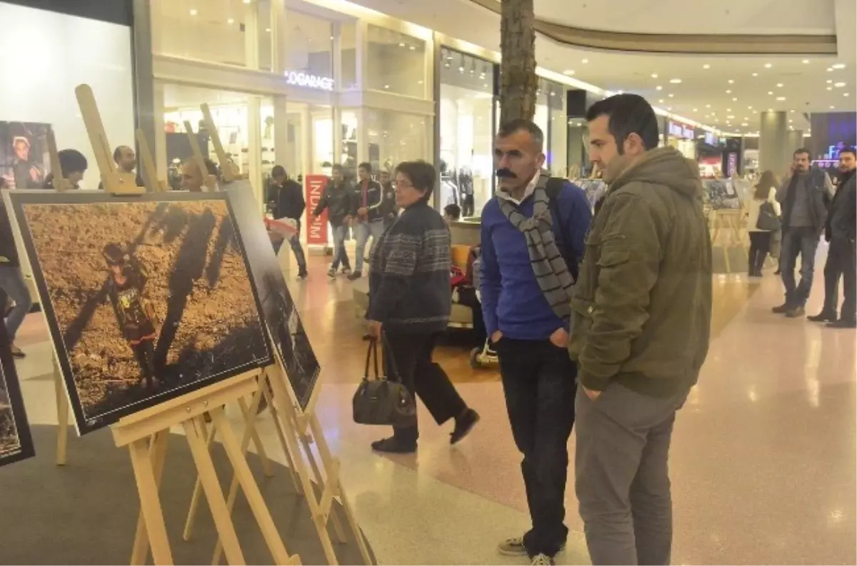 Küçük Bedenlerdeki Büyük Yük