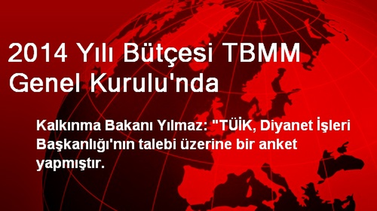 2014 Yılı Bütçesi TBMM Genel Kurulu\'nda