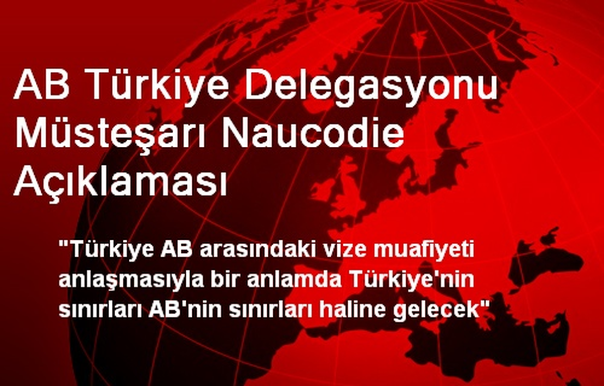 AB Türkiye Delegasyonu Müsteşarı Naucodie Açıklaması