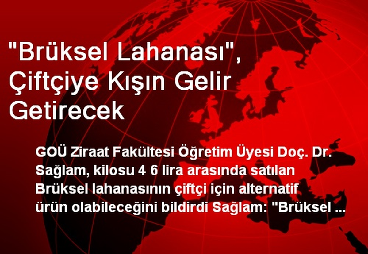 "Brüksel Lahanası", Çiftçiye Kışın Gelir Getirecek