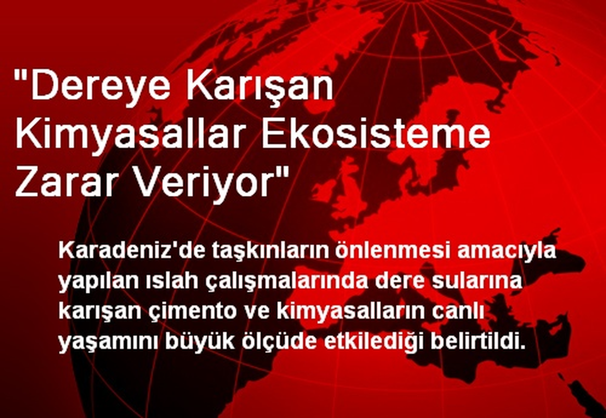"Dereye Karışan Kimyasallar Ekosisteme Zarar Veriyor"