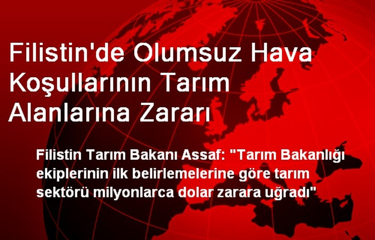 Filistin\'de Olumsuz Hava Koşullarının Tarım Alanlarına Zararı