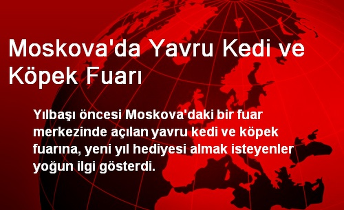 Moskova\'da Yavru Kedi ve Köpek Fuarı