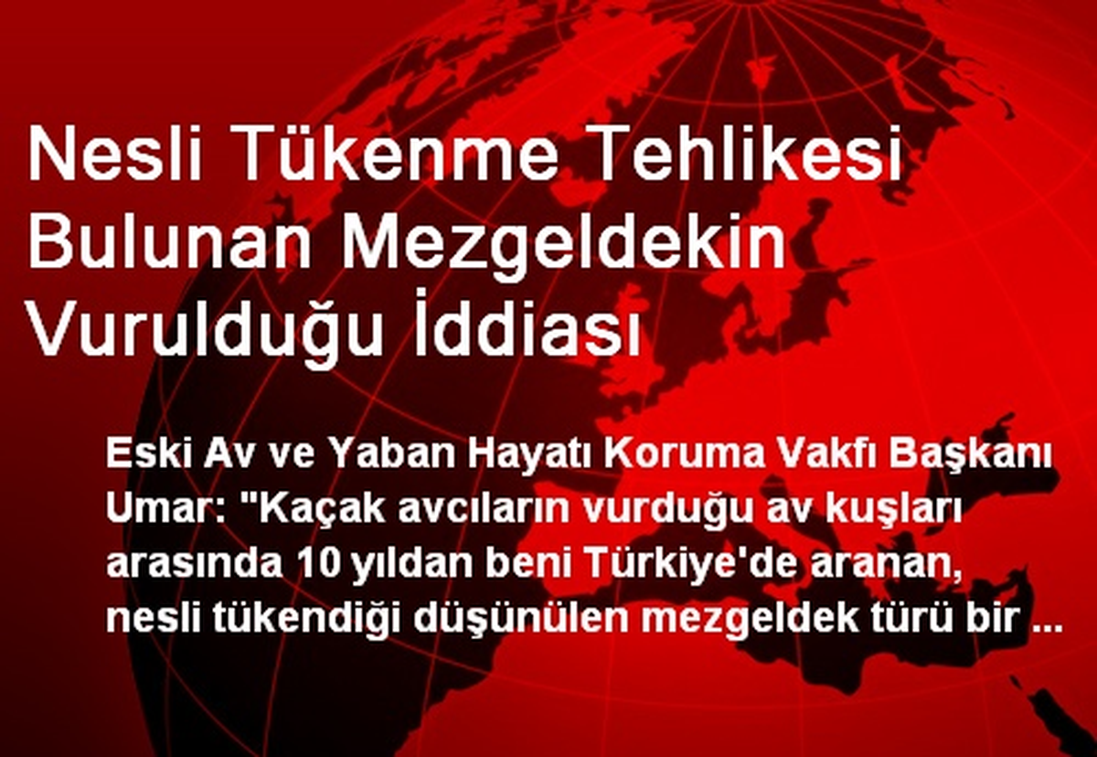 Nesli Tükenme Tehlikesi Bulunan Mezgeldekin Vurulduğu İddiası