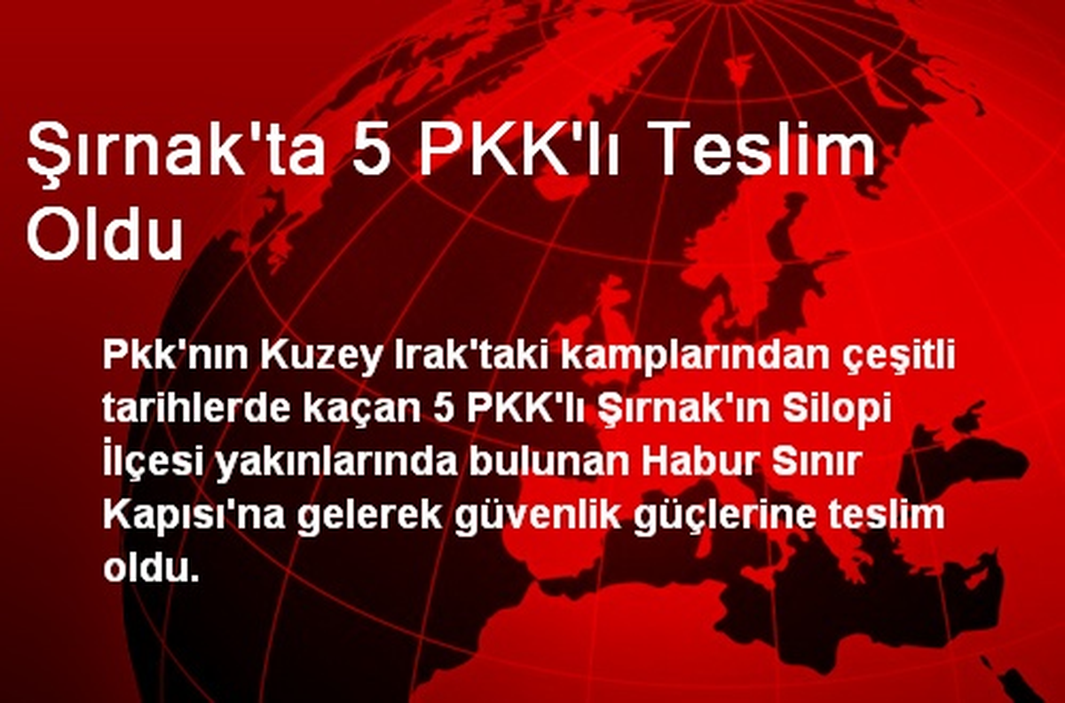 Şırnak\'ta 5 PKK\'lı Teslim Oldu