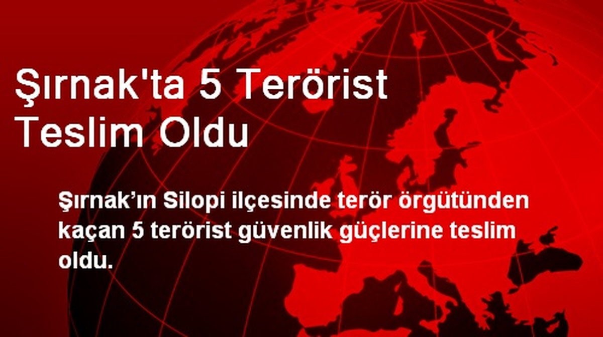 Şırnak\'ta 5 Terörist Teslim Oldu