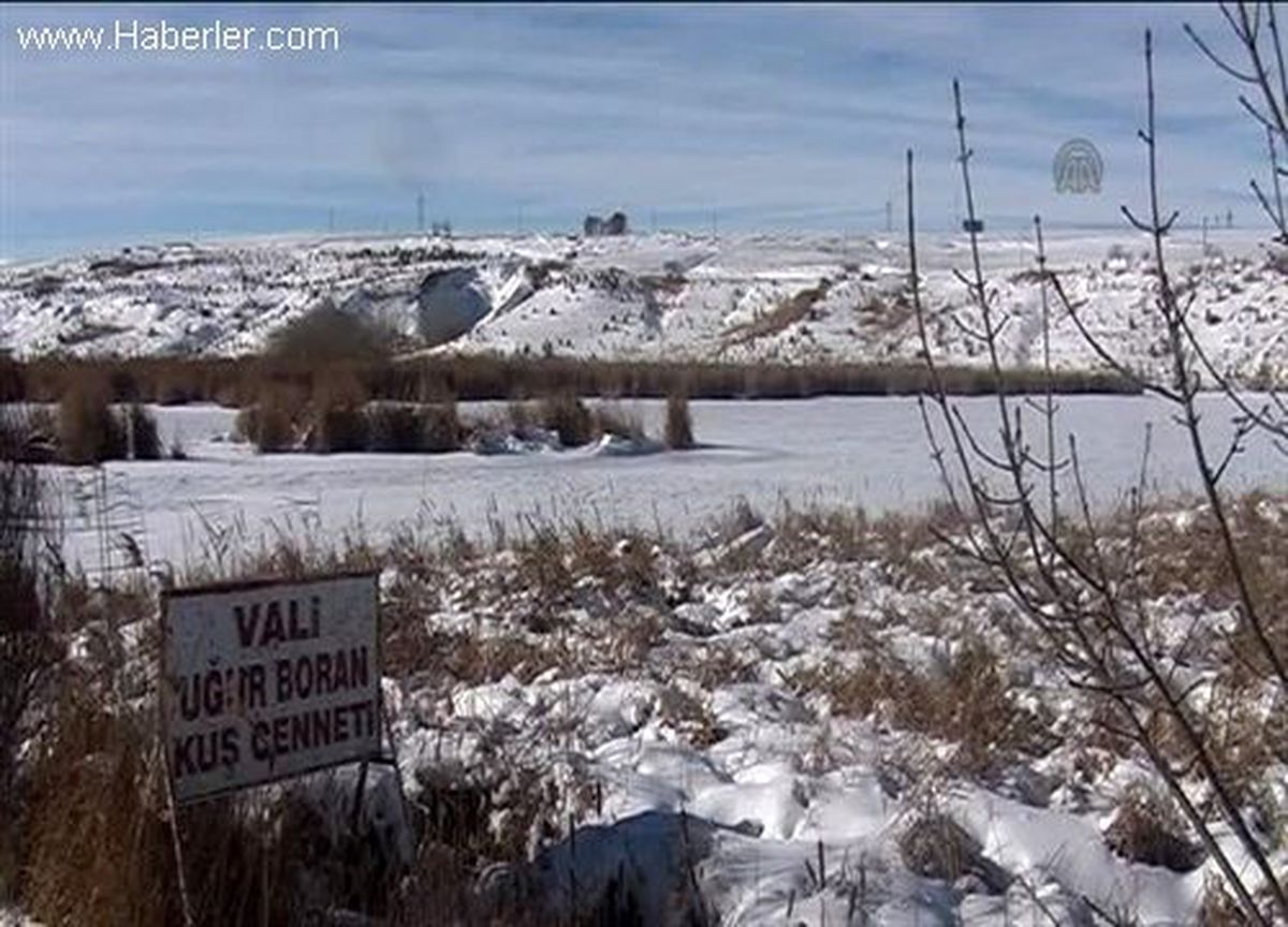 Ahlat\'ta Soğuk Hava Göleti Dondurdu