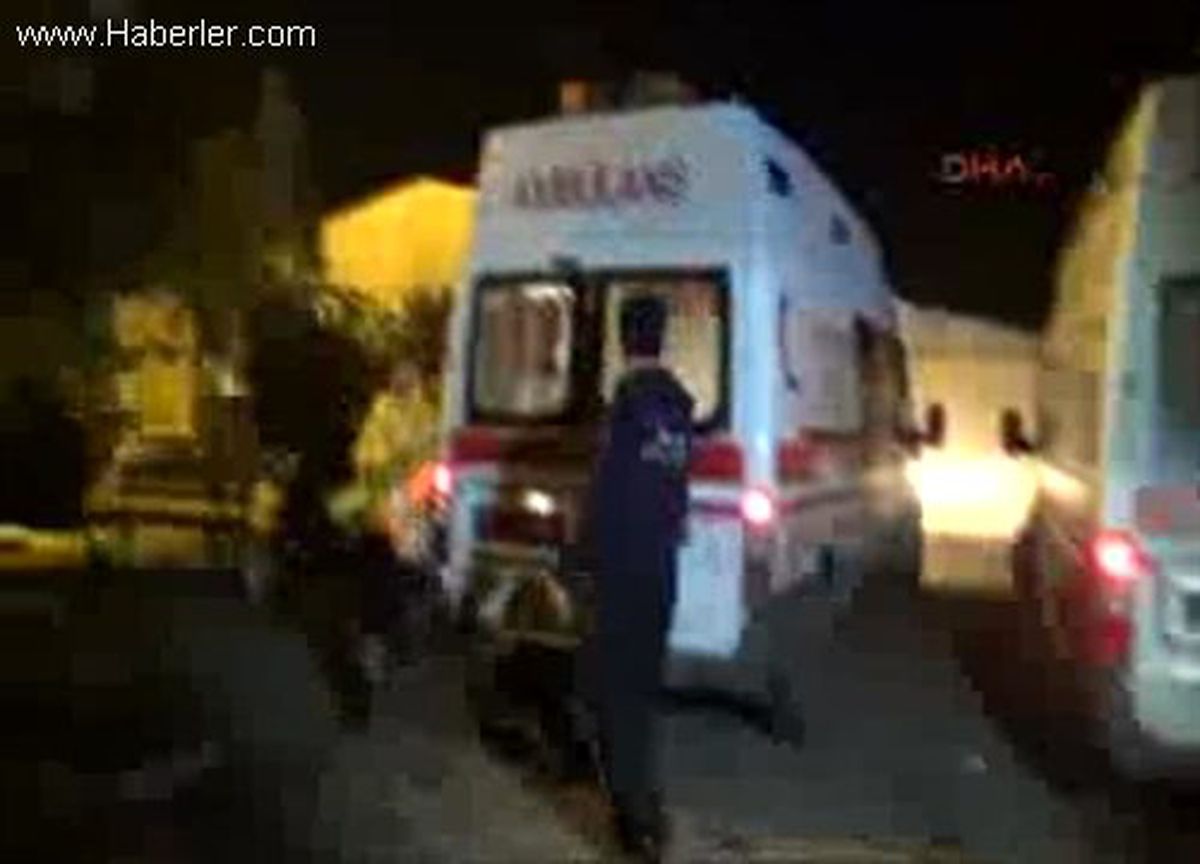 Denize Uçmaktan Ağaç Kurtardı