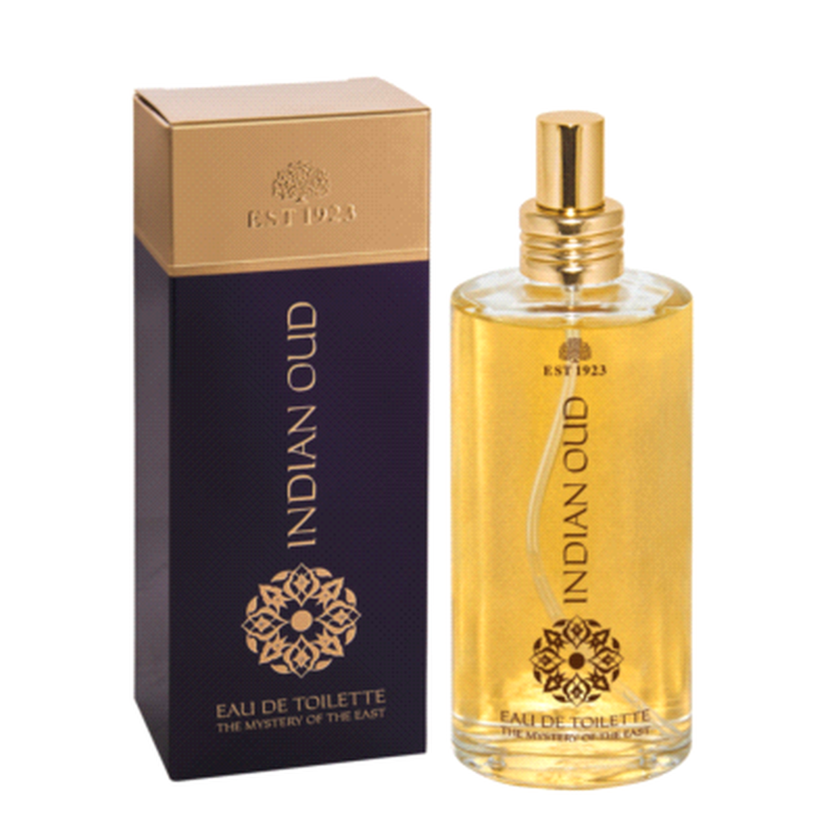 Est1923 Indian Oud Gizeme Yolculuğun Adı