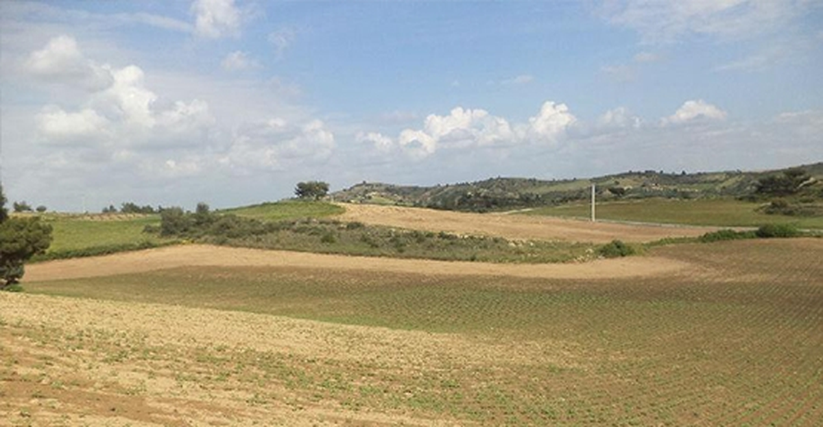 Mardin\'de Hazineye Ait Tarım Arazileri Satışa Çıkarılıyor