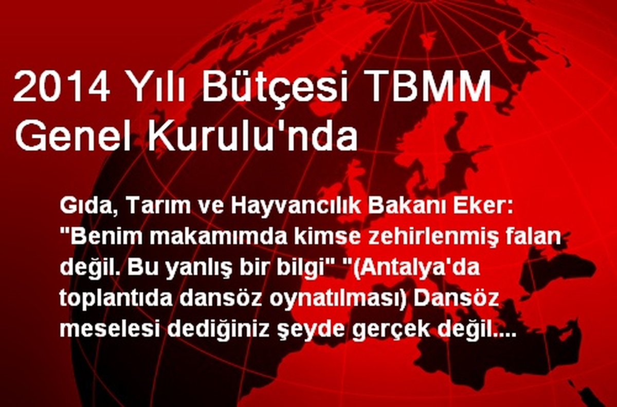 2014 Yılı Bütçesi TBMM Genel Kurulu\'nda