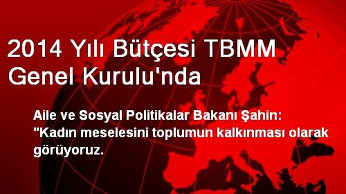 2014 Yılı Bütçesi TBMM Genel Kurulu\'nda