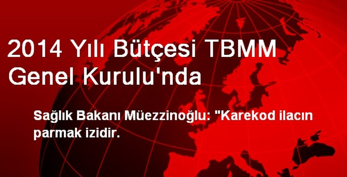2014 Yılı Bütçesi TBMM Genel Kurulu\'nda