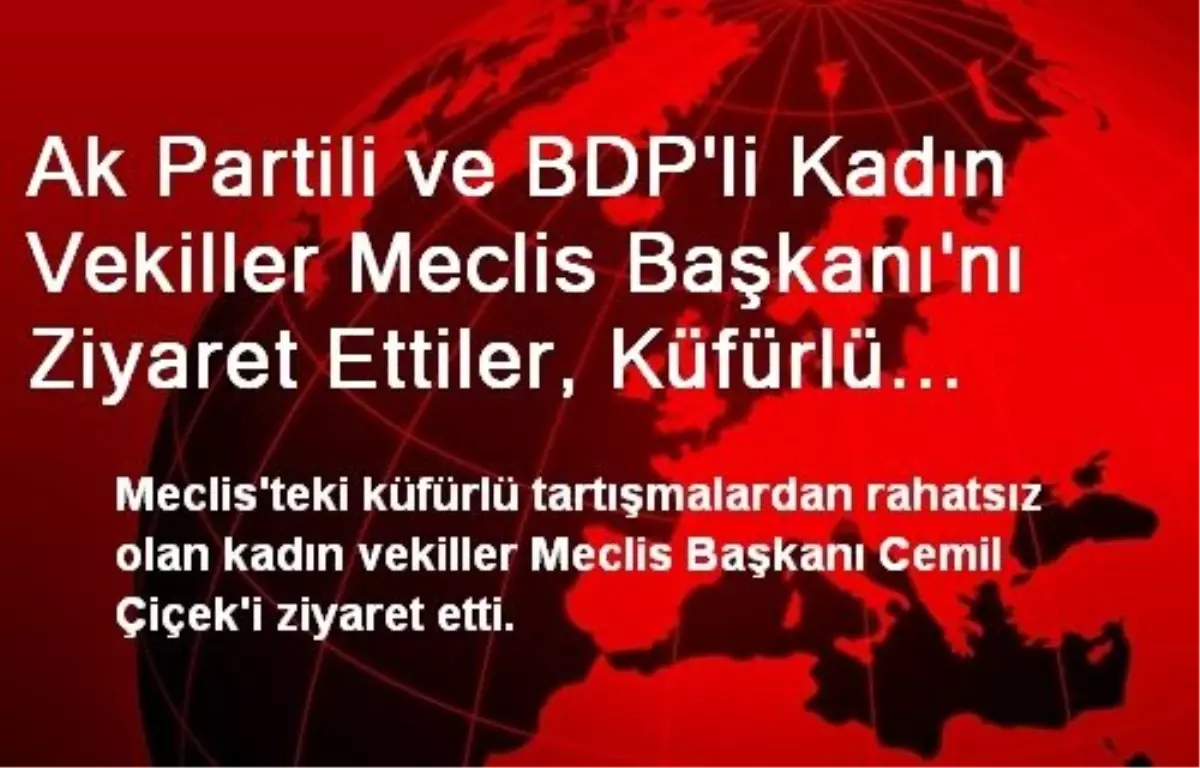 Ak Partili ve BDP\'li Kadın Vekiller Meclis Başkanı\'nı Ziyaret Ettiler, Küfürlü Tartışmalardan...