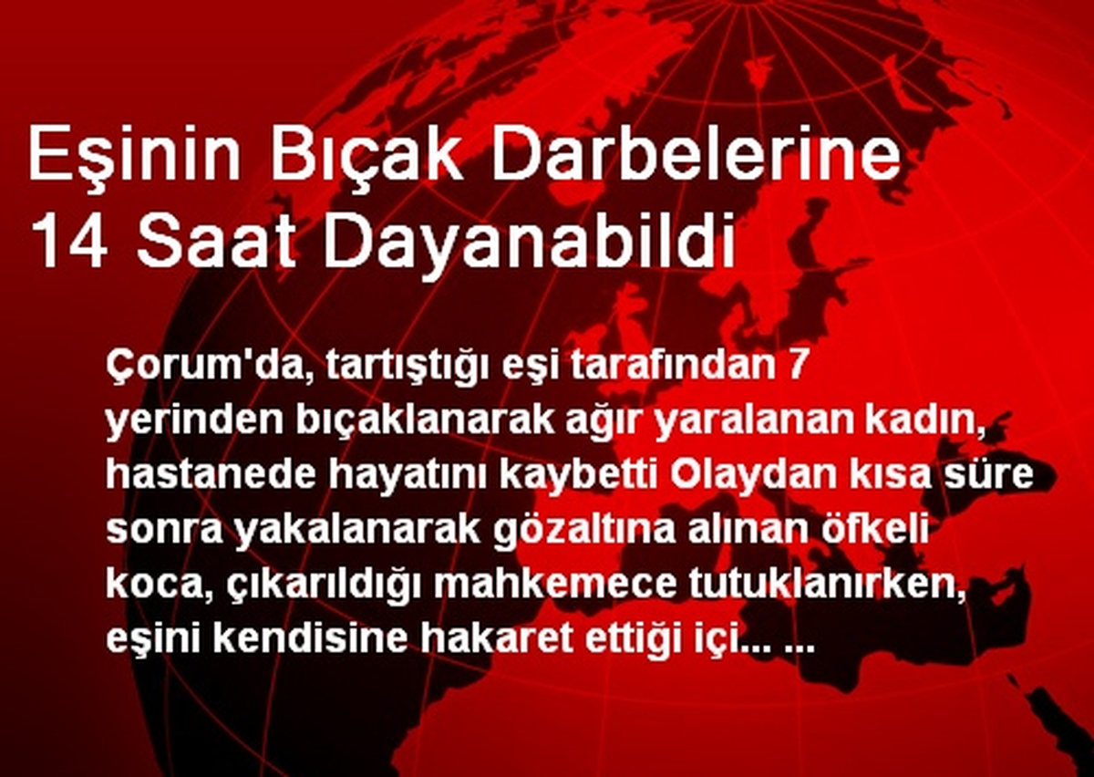 Eşinin Bıçak Darbelerine 14 Saat Dayanabildi