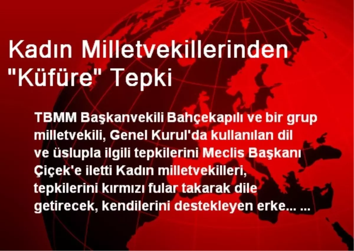 Kadın Milletvekillerinden "Küfüre" Tepki