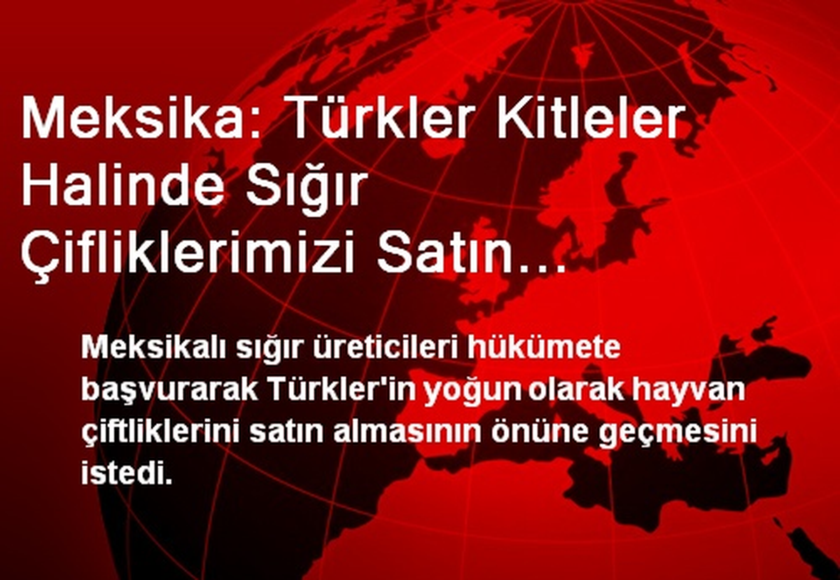 Meksika: Türkler Kitleler Halinde Sığır Çifliklerimizi Satın Alıyor