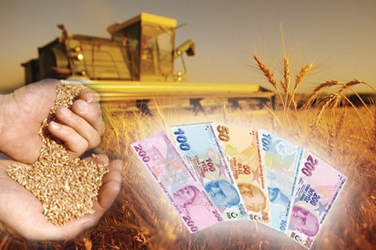 Tarım Satış Kooperatif Birlikleri Borçlarının Yapılandırılması