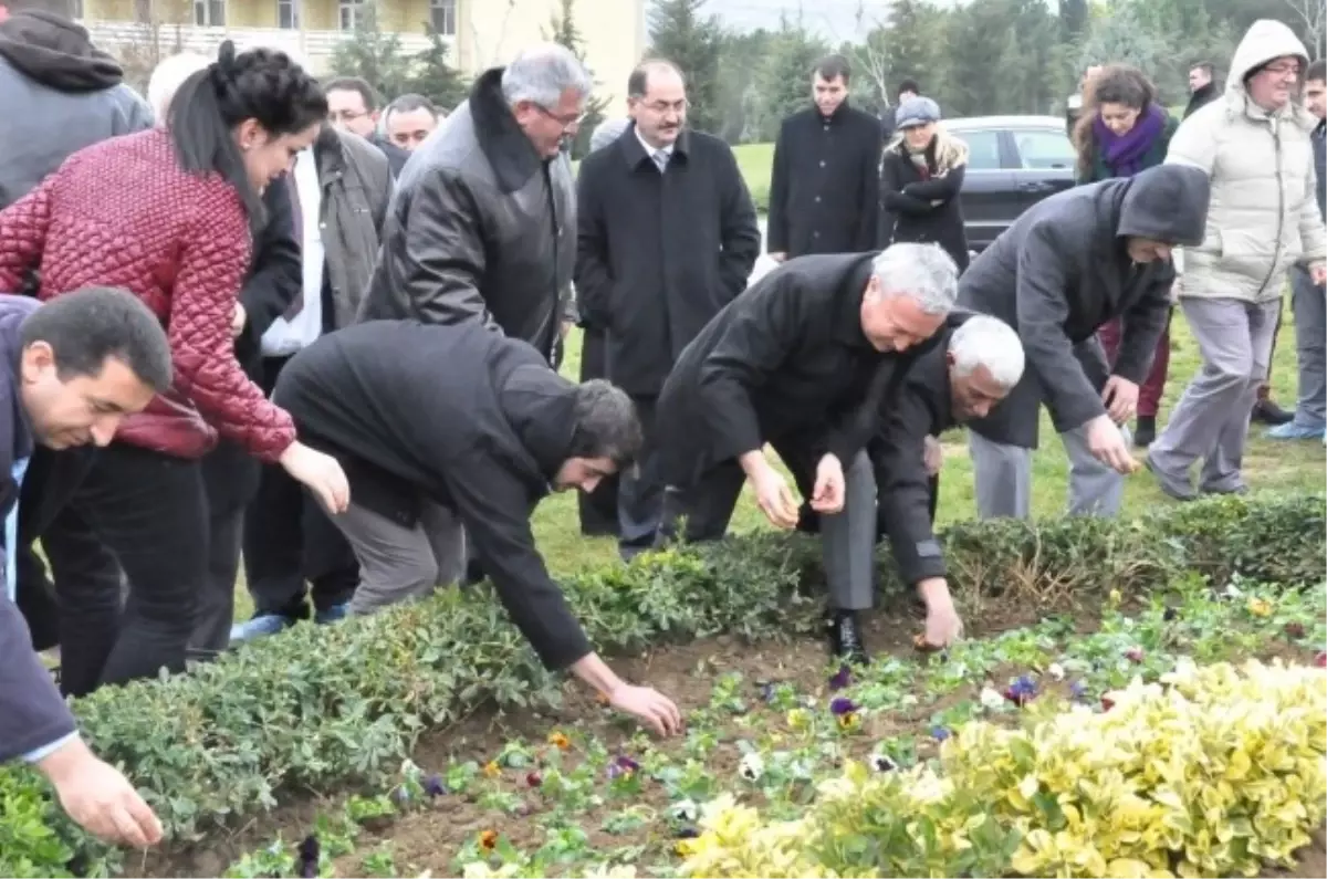 Tekirdağ Namık Kemal Üniversitesi Baharı Lalelerle Karşılayacak