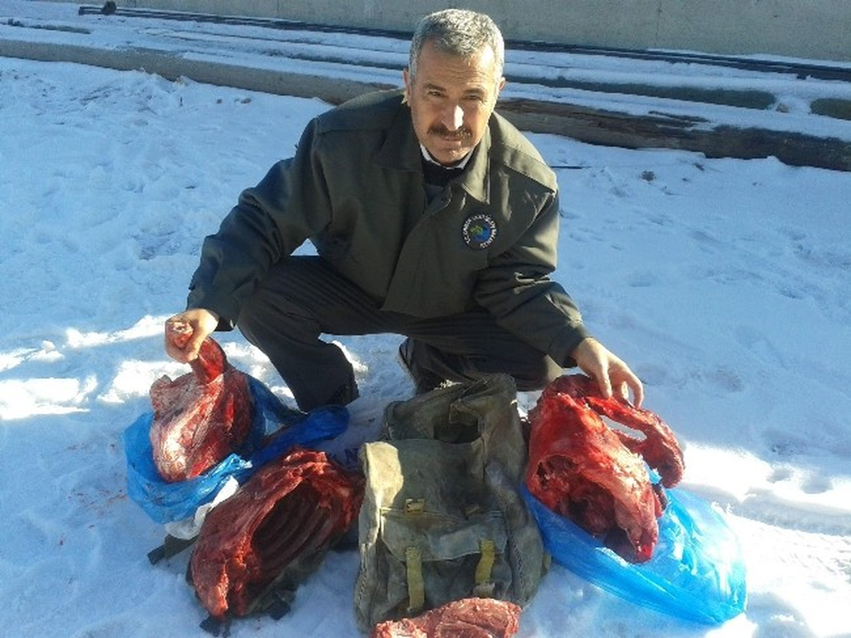 Avlanması Yasak Olan Dağ Keçisini Avladılar