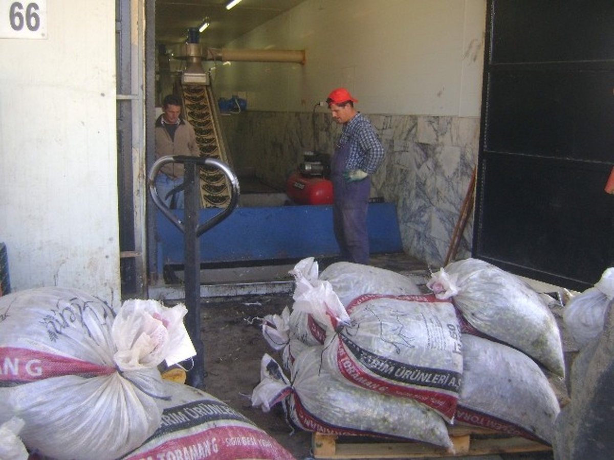 Aydın\'da Zeytin Karasuyuna Kafes Teller Çekilmeye Başlandı