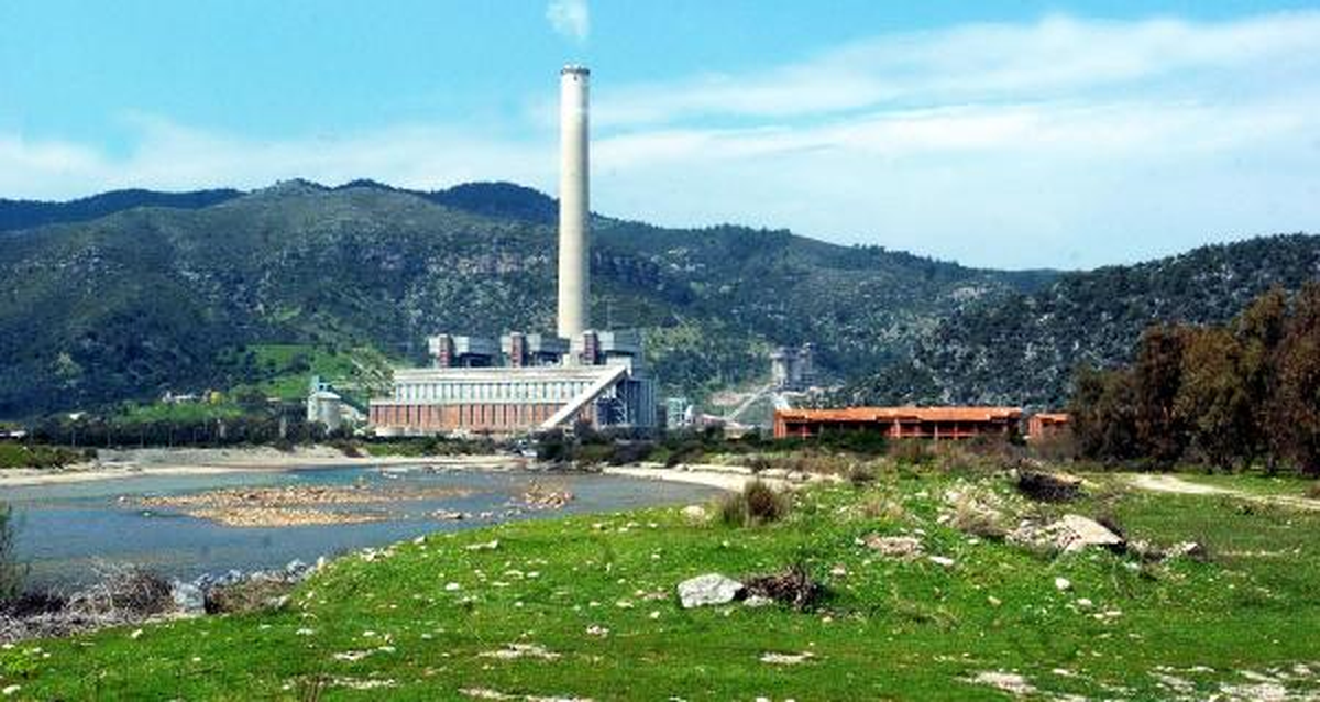 Cennet Koyun Kalbine Liman Tepkisi
