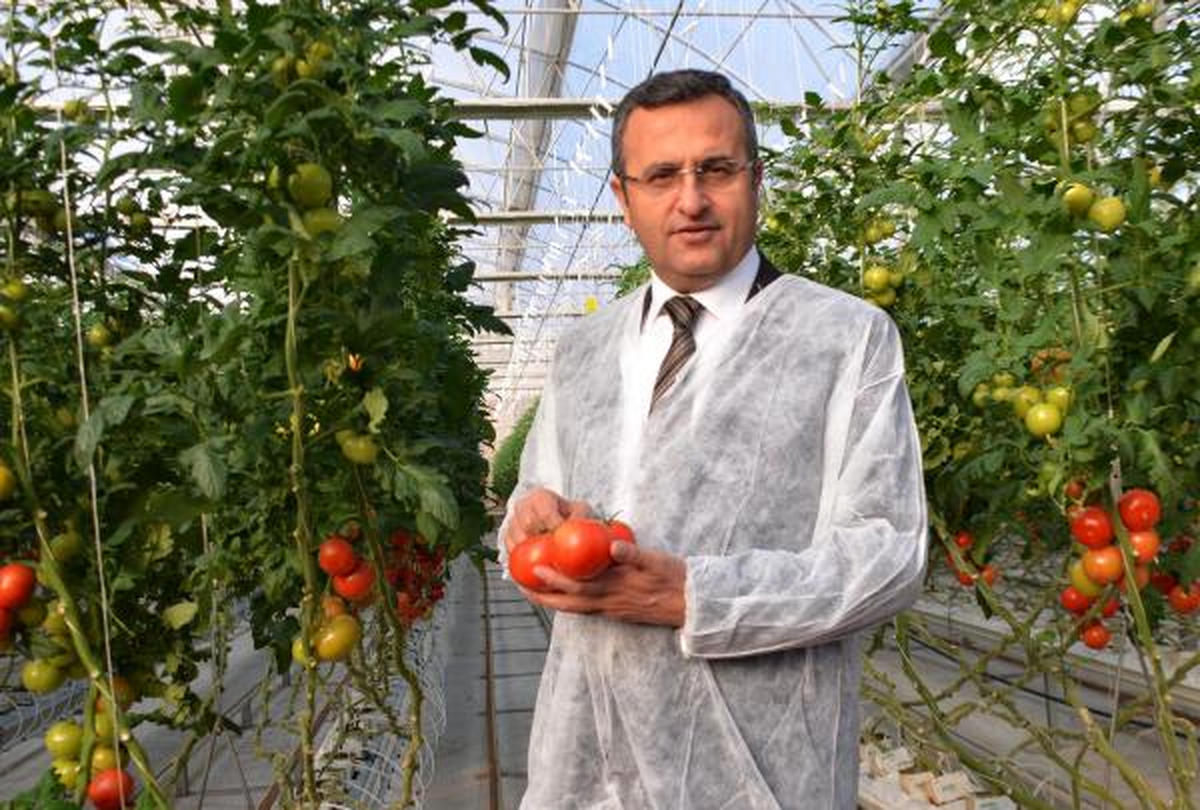 Denizli\'de Topraksız Sera Alanı 500 Dekara Ulaştı