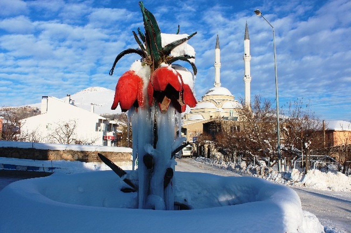 Gevaş\'ta Dondurucu Soğuklar