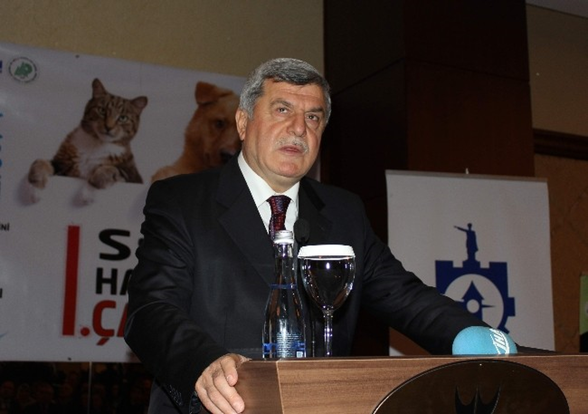 Kocaeli\'de Sokak Hayvanları Çalıştayı