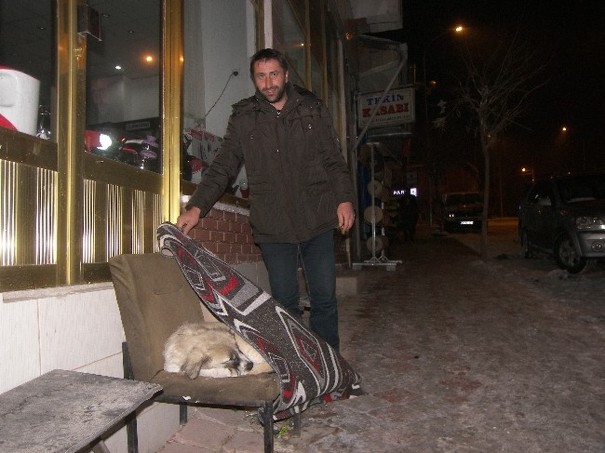 Köpeğe Soğuktan Battaniyeli Koruma